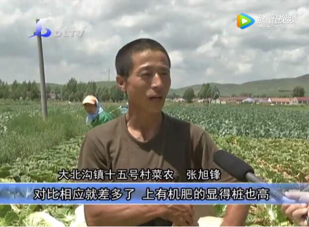 有机肥替代化肥种蔬菜，上市受争抢农民喜增收