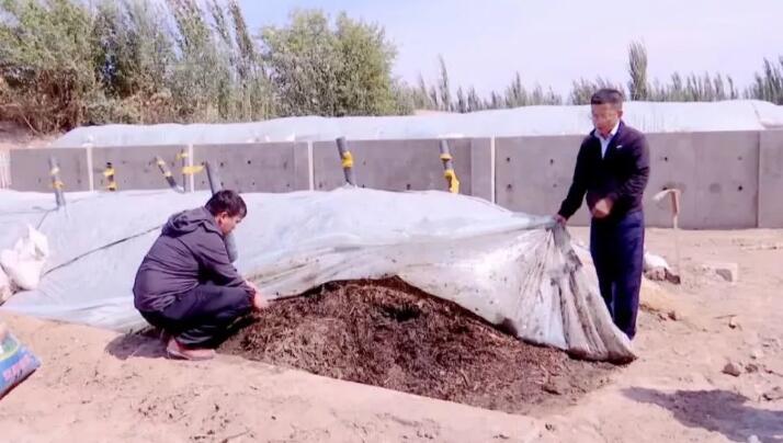 新疆首个果菜茶有机肥代替化肥示范县，看他们如何做的？