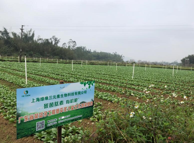 广东菜篮子工程碳菌肽素有机肥种植基地