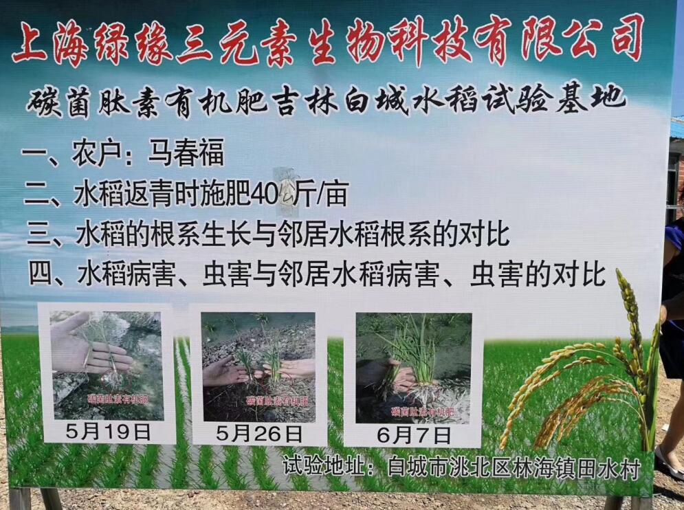 吉林水稻碳菌肽素有机肥试验基地