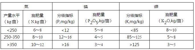 2020껨 ䷽ʩʼָ