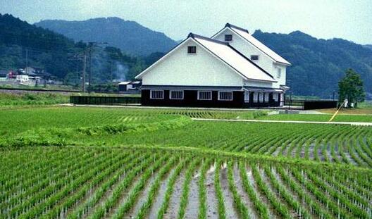 黑龙江关于开展2020年果菜茶有机肥替代化肥 试点县(市、区)申
