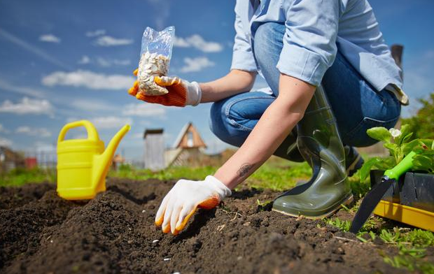 有机肥、生物有机肥中有机质可达90%？