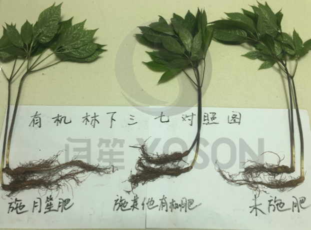 碳菌肽素有机肥可以用作追肥吗?