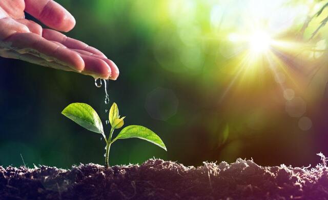 纯植物源等绿色有机肥对中国农业发展的意义
